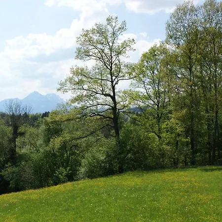 Apartmán Ferienwohnung Bacher Solnohrad